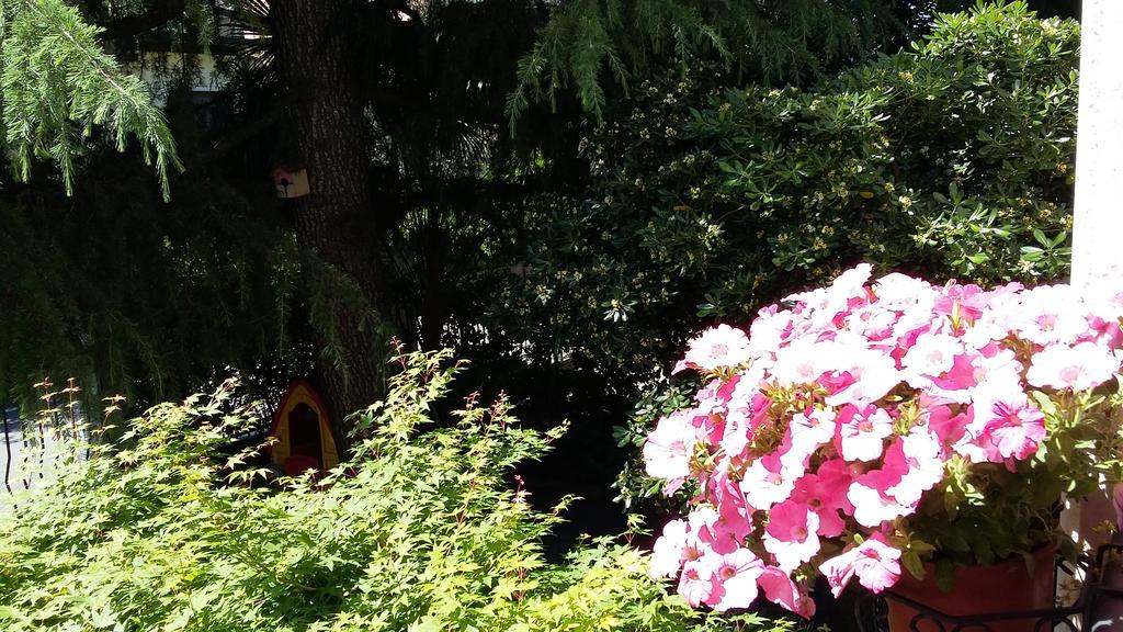 B&B Il Paiolo Desenzano del Garda Dış mekan fotoğraf